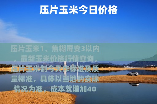 压片玉米今日价格