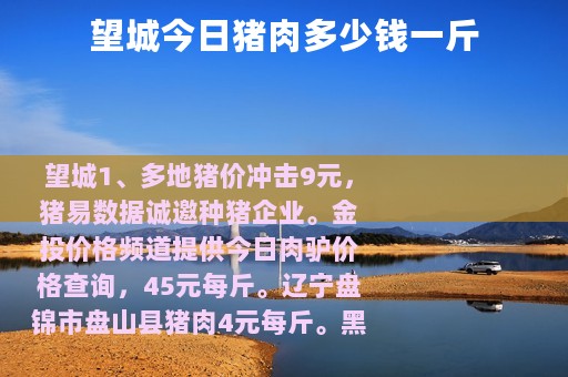 望城今日猪肉多少钱一斤