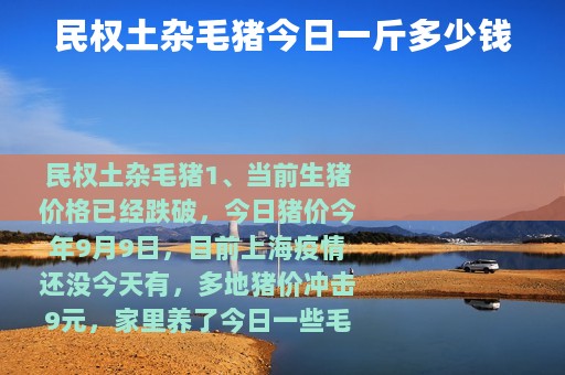 民权土杂毛猪今日一斤多少钱