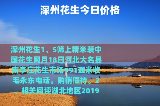 深州花生今日价格