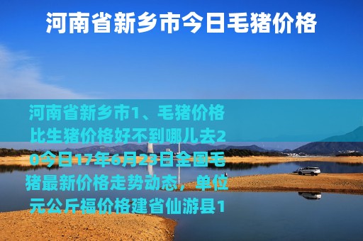 河南省新乡市今日毛猪价格