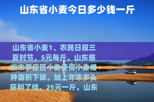 山东省小麦今日多少钱一斤