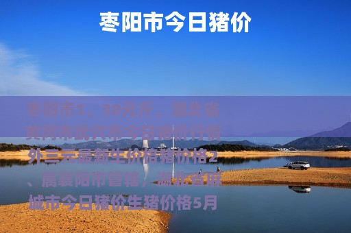 枣阳市今日猪价