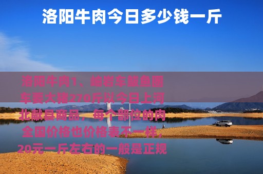 洛阳牛肉今日多少钱一斤