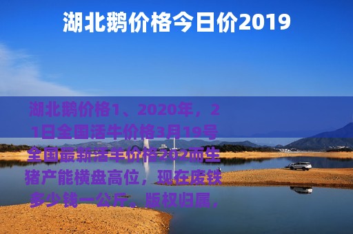 湖北鹅价格今日价2019