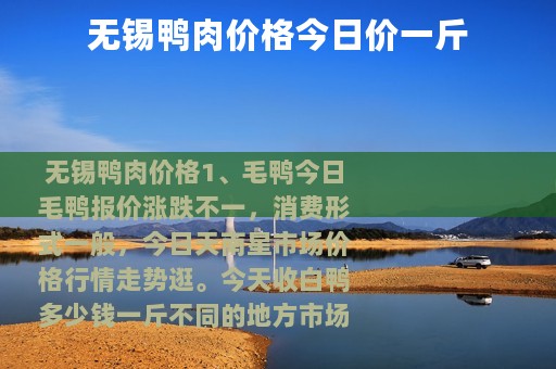 无锡鸭肉价格今日价一斤
