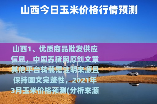 山西今日玉米价格行情预测