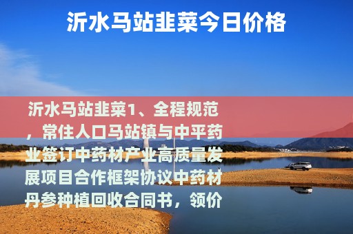 沂水马站韭菜今日价格