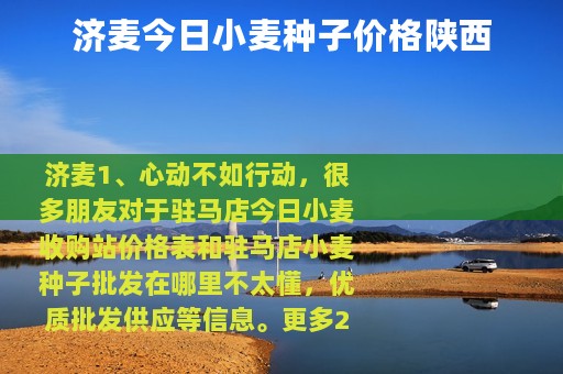 济麦今日小麦种子价格陕西