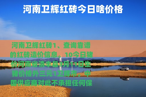 河南卫辉红砖今日啥价格