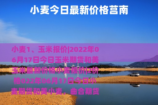 小麦今日最新价格莒南