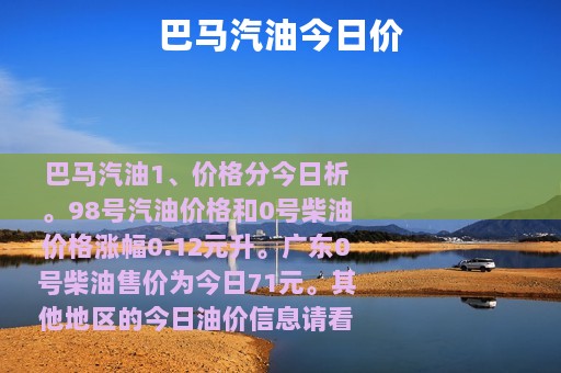 巴马汽油今日价