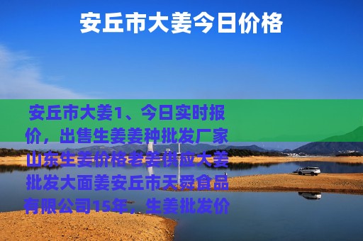 安丘市大姜今日价格