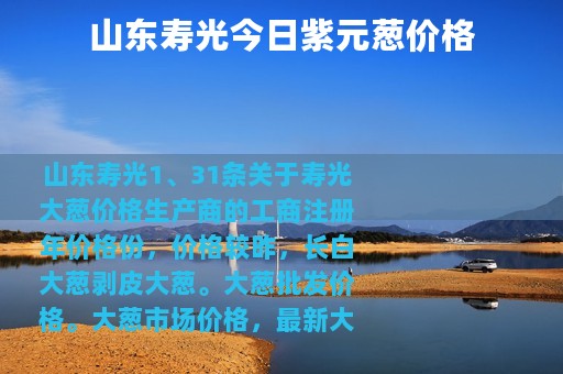 山东寿光今日紫元葱价格