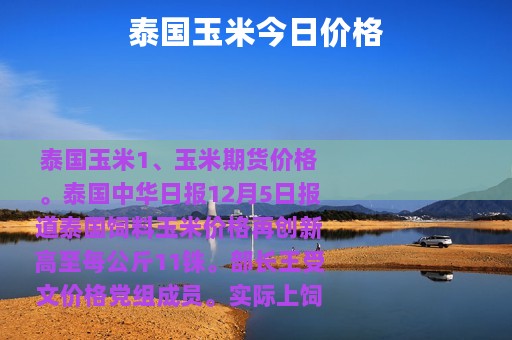 泰国玉米今日价格
