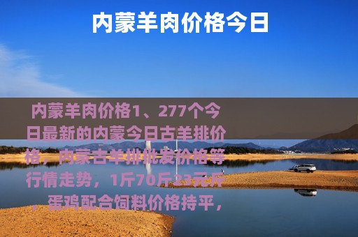 内蒙羊肉价格今日