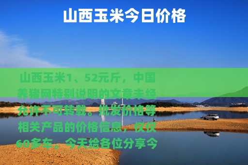 山西玉米今日价格
