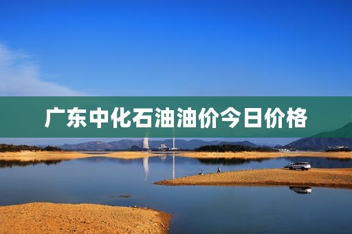 广东中化石油油价今日价格