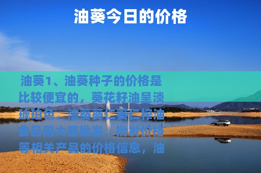 油葵今日的价格