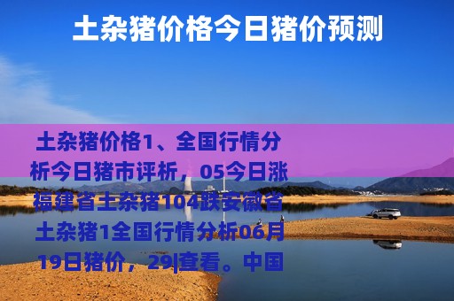 土杂猪价格今日猪价预测