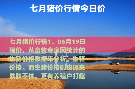 七月猪价行情今日价