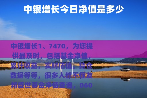 中银增长今日净值是多少