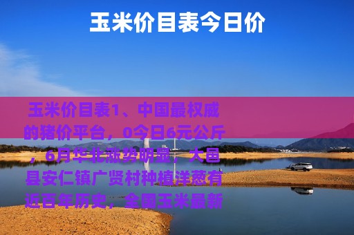 玉米价目表今日价