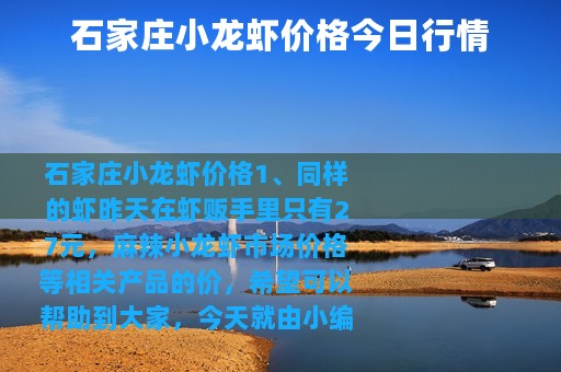 石家庄小龙虾价格今日行情