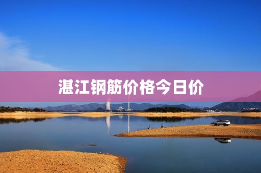 湛江钢筋价格今日价
