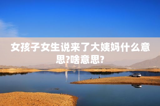 女孩子女生说来了大姨妈什么意思?啥意思?