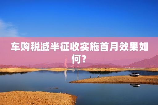 车购税减半征收实施首月效果如何？