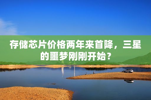 存储芯片价格两年来首降，三星的噩梦刚刚开始？