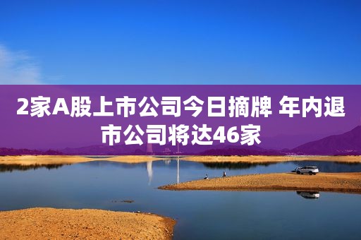 2家A股上市公司今日摘牌 年内退市公司将达46家