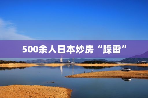 500余人日本炒房“踩雷”