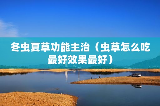 冬虫夏草功能主治（虫草怎么吃最好效果最好）
