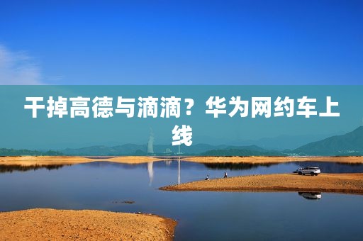 干掉高德与滴滴？华为网约车上线