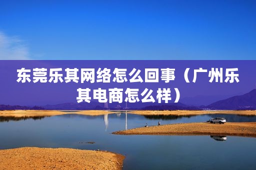 东莞乐其网络怎么回事（广州乐其电商怎么样）