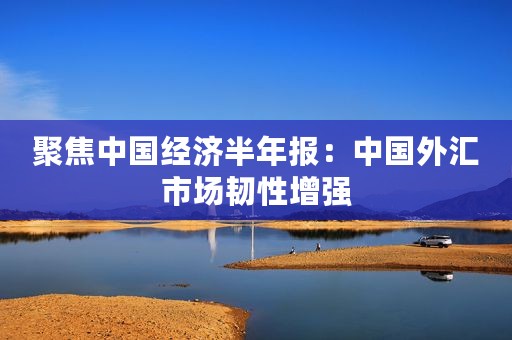 聚焦中国经济半年报：中国外汇市场韧性增强