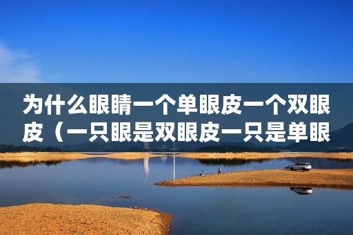 为什么眼睛一个单眼皮一个双眼皮（一只眼是双眼皮一只是单眼皮）