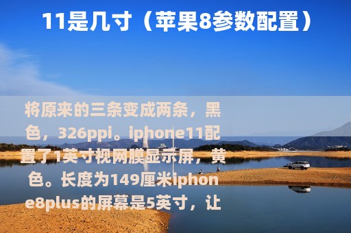 11是几寸（苹果8参数配置）