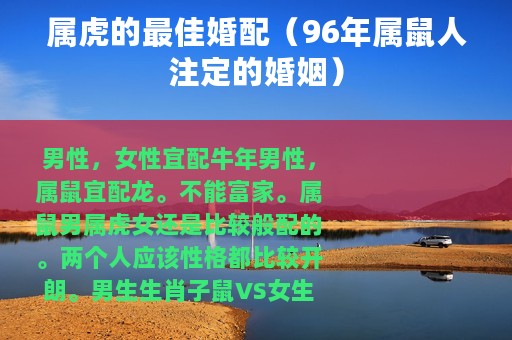 属虎的最佳婚配（96年属鼠人注定的婚姻）