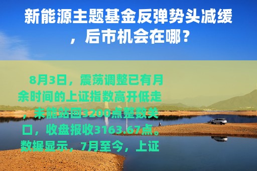 新能源主题基金反弹势头减缓，后市机会在哪？