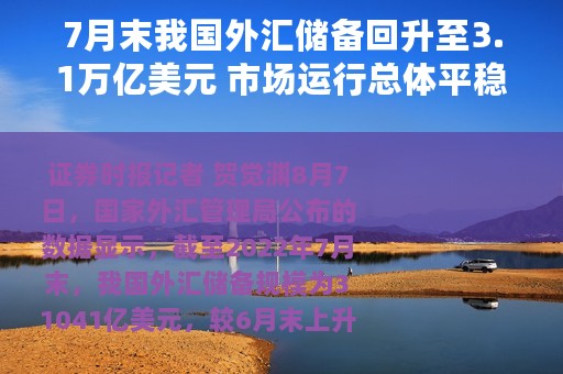 7月末我国外汇储备回升至3.1万亿美元 市场运行总体平稳