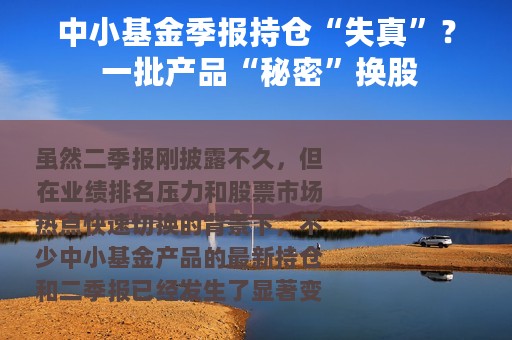 中小基金季报持仓“失真”？ 一批产品“秘密”换股