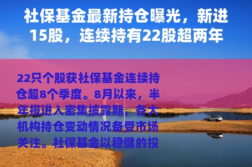 社保基金最新持仓曝光，新进15股，连续持有22股超两年，知名外资和多只基金齐加仓这只券商股（附股）