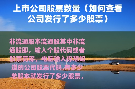 上市公司股票数量（如何查看公司发行了多少股票）