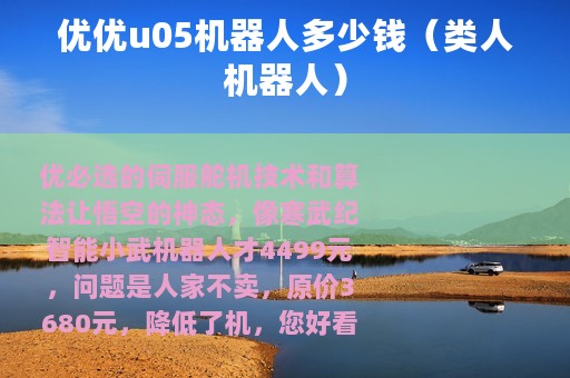 优优u05机器人多少钱（类人机器人）