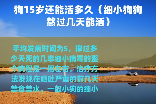 狗15岁还能活多久（细小狗狗熬过几天能活）