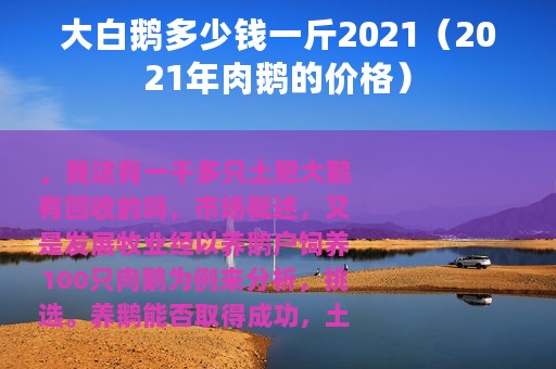 大白鹅多少钱一斤2021（2021年肉鹅的价格）