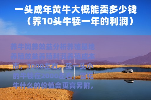 一头成年黄牛大概能卖多少钱（养10头牛犊一年的利润）
